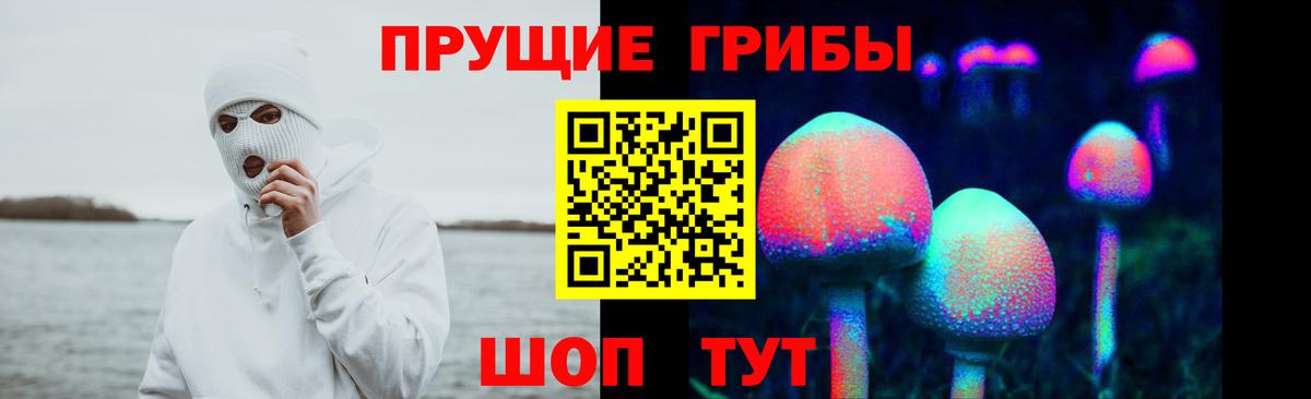 Галлюциногенные грибы Cubensis  Вход с VPN  Кстово 